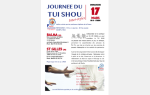 17 mars 2019: Journée de Tui Shou inter-styles en Occitanie