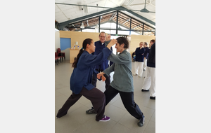 Exercice de Tui Shou entre Laurence Prabonneau, à droite, enseignante à Agen et Casteljaloux, et Maria Ericson, enseignante au club  La Grue Blanche  à Tarbes, à gauche.
