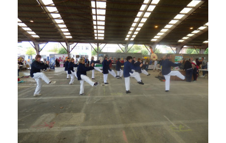 Ouverture d'un nouveau cours de Tai Chi Chuan de Toum Garonne à Estillac!
