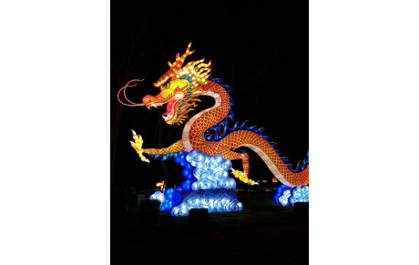 9 février 2019: Toum Garonne participe au nouvel an chinois en Albret!