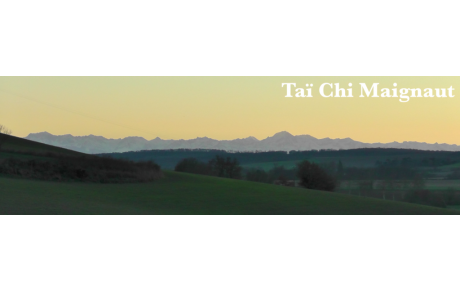 Des cours de Tai Chi Chuan Ecole Yang Style Tung ouvrent dans le Gers: bienvenue à la toute nouvelle association Tai Chi Maignaut!