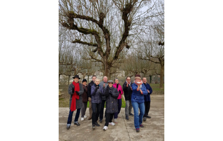 Pendant les fêtes, la pratique libre du Tai Chi Chuan Ecole Yang Style Tung : la joie d'être ensemble!